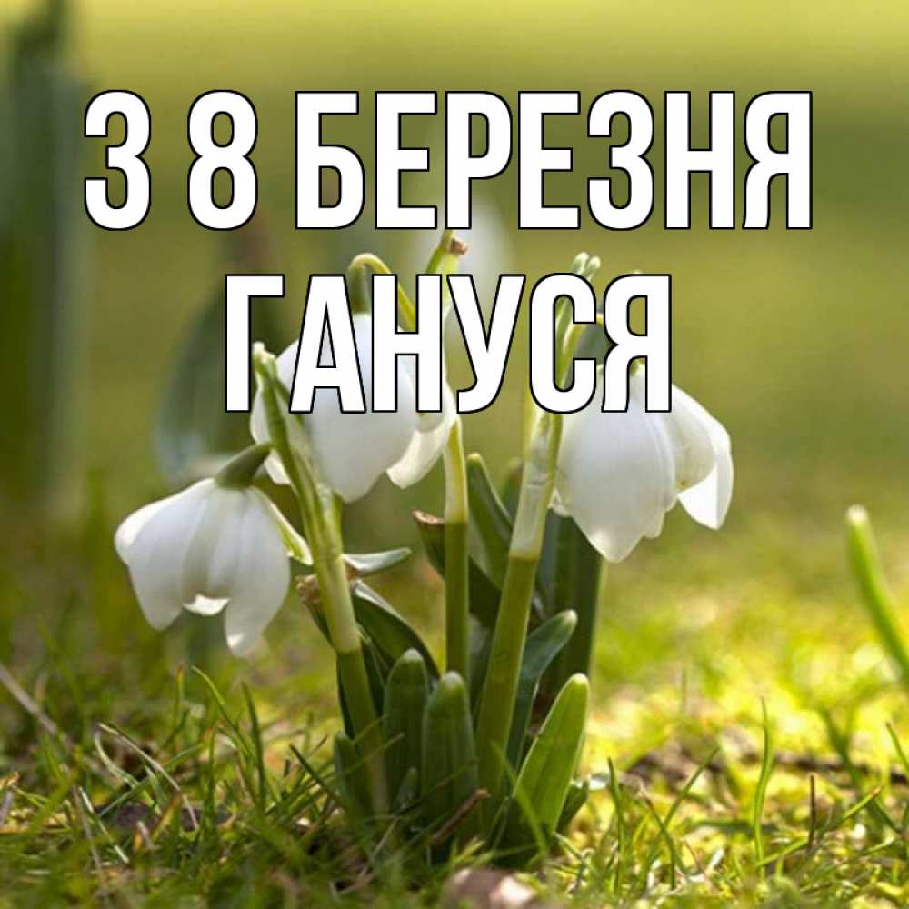 Открытка на каждый день з підписом, Гануся З 8 БЕРЕЗНЯ ранние цветы 2 Прикольна листівка з побажанням онлайн скачати безкоштовно 