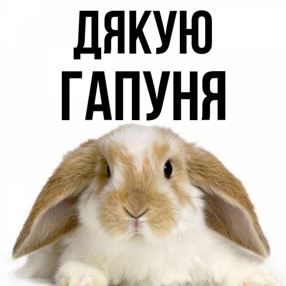 Открытка на каждый день з підписом, Гапуня Дякую коричнево белый заяц Прикольна листівка з побажанням онлайн скачати безкоштовно 