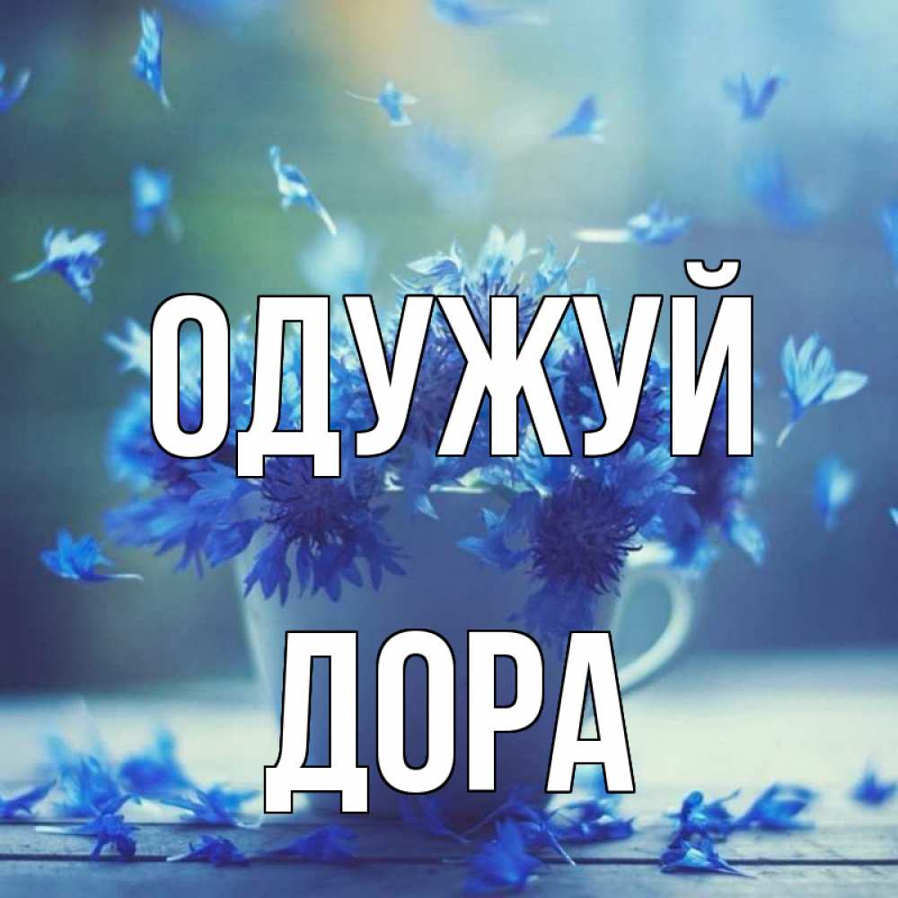 Открытка на каждый день з підписом, Дора Одужуй кружка с зельем и цветами Прикольна листівка з побажанням онлайн скачати безкоштовно 