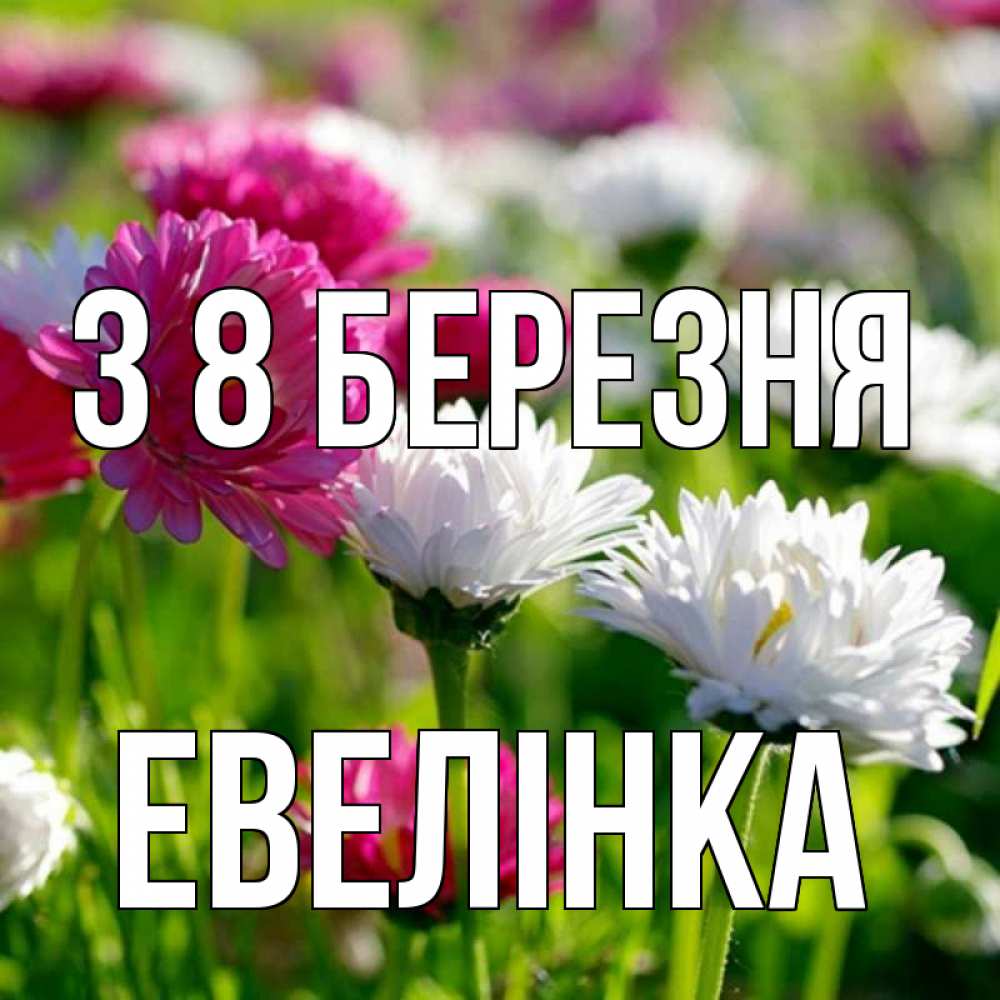 Открытка на каждый день з підписом, Евелінка З 8 БЕРЕЗНЯ международный женский день 1 Прикольна листівка з побажанням онлайн скачати безкоштовно 