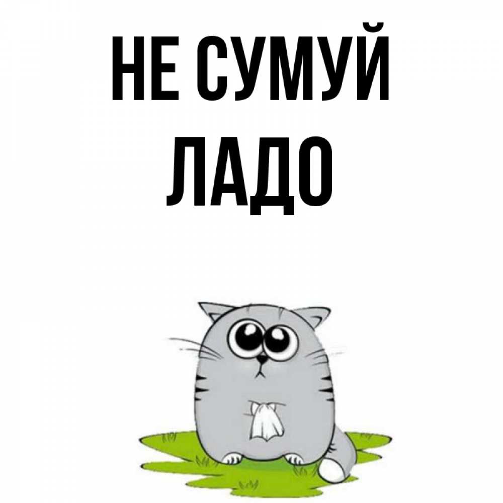 Открытка на каждый день з підписом, Ладо Не сумуй грустный котяра Прикольна листівка з побажанням онлайн скачати безкоштовно 