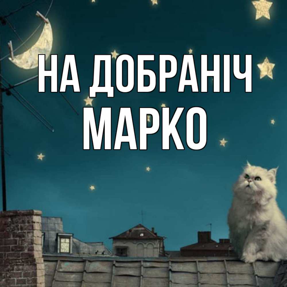 Открытка на каждый день з підписом, Марко На добраніч белый кот сидит на крыше Прикольна листівка з побажанням онлайн скачати безкоштовно 