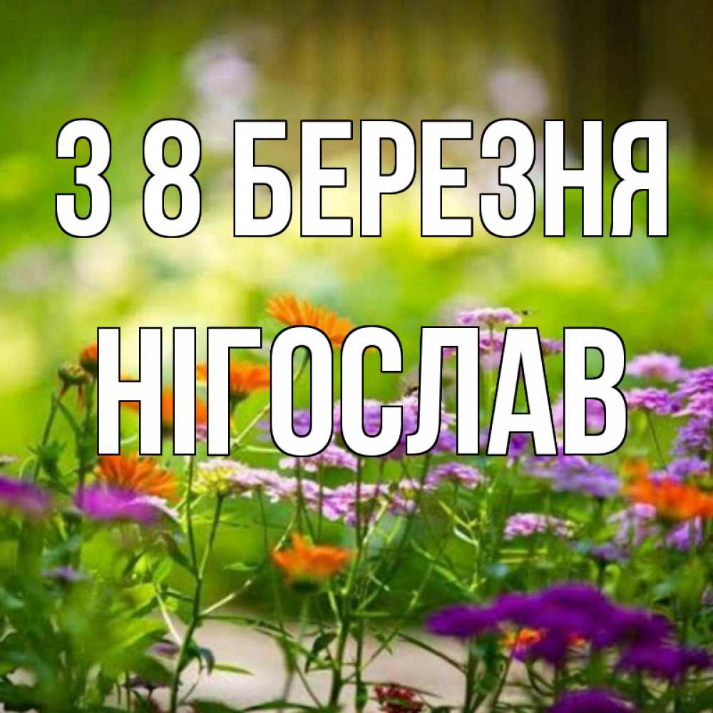 Открытка на каждый день з підписом, Нігослав З 8 БЕРЕЗНЯ цветы Прикольна листівка з побажанням онлайн скачати безкоштовно 