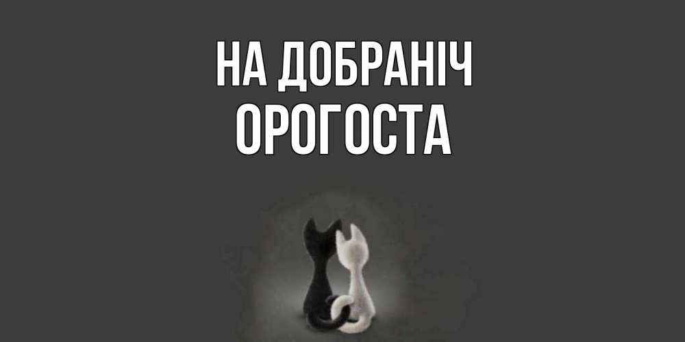 Открытка на каждый день з підписом, Орогоста На добраніч коты Прикольна листівка з побажанням онлайн скачати безкоштовно 