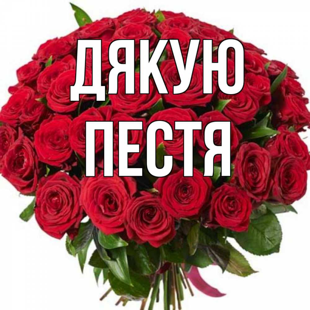 Открытка на каждый день з підписом, Пестя Дякую букет красных роз Прикольна листівка з побажанням онлайн скачати безкоштовно 