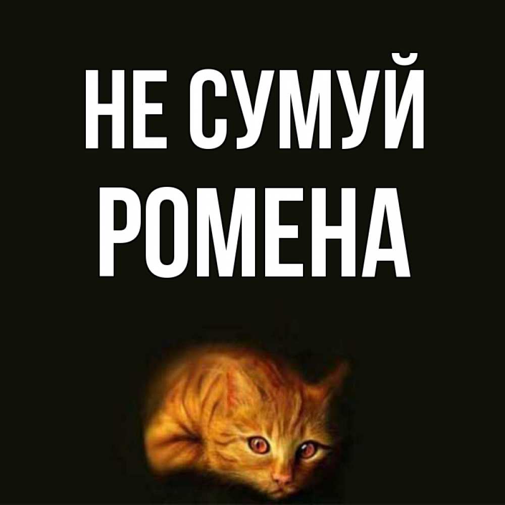 Открытка на каждый день з підписом, Ромена Не сумуй лежащий кот в темноте Прикольна листівка з побажанням онлайн скачати безкоштовно 