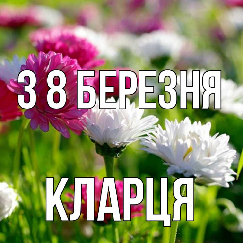 Открытка на каждый день з підписом, Кларця З 8 БЕРЕЗНЯ международный женский день 1 Прикольна листівка з побажанням онлайн скачати безкоштовно 