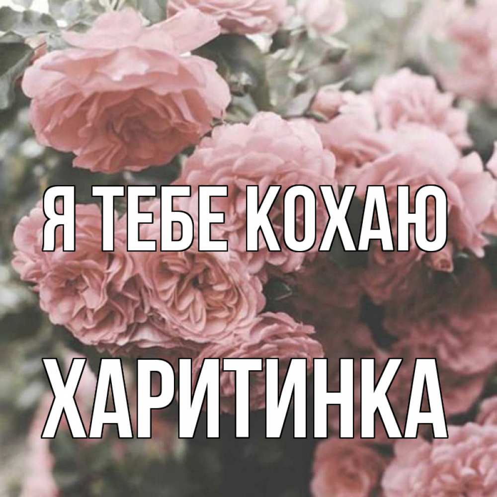 Открытка на каждый день з підписом, Харитинка Я тебе кохаю розы 3 Прикольна листівка з побажанням онлайн скачати безкоштовно 
