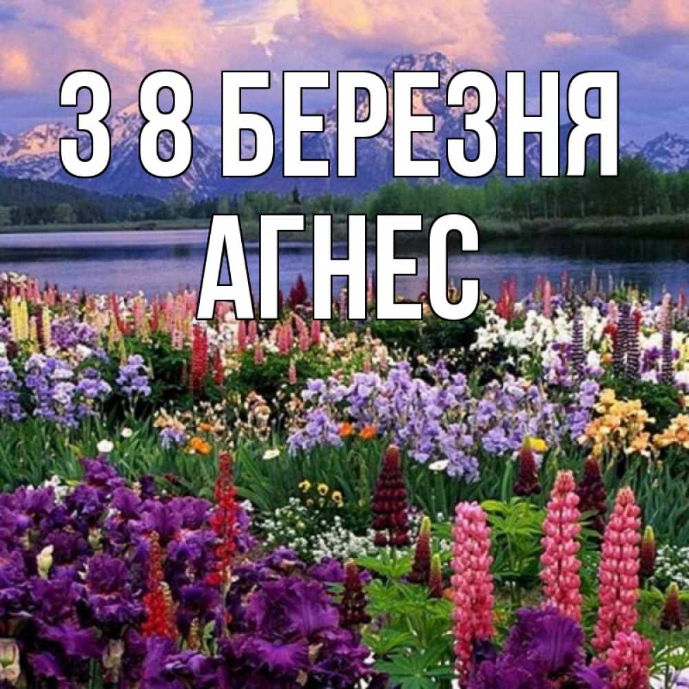 Открытка на каждый день з підписом, Агнес З 8 БЕРЕЗНЯ международный женский день Прикольна листівка з побажанням онлайн скачати безкоштовно 