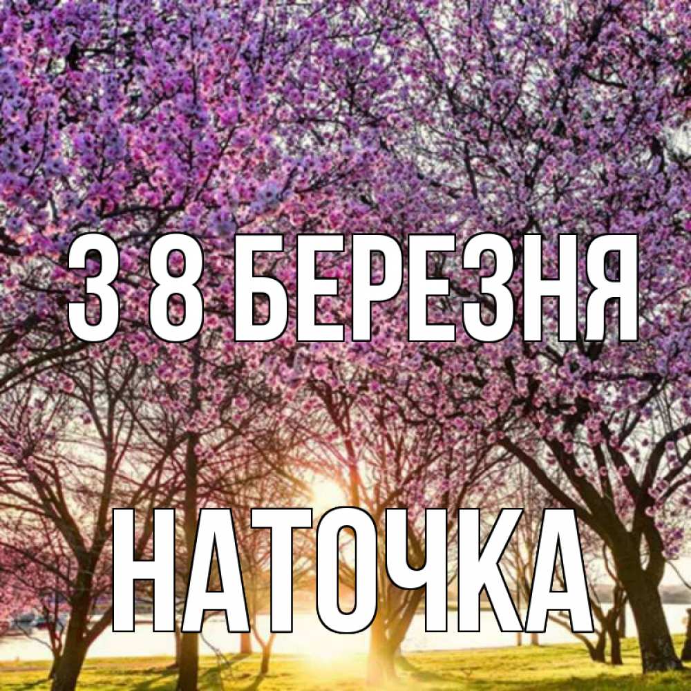 Открытка на каждый день з підписом, Наточка З 8 БЕРЕЗНЯ международный женский день Прикольна листівка з побажанням онлайн скачати безкоштовно 