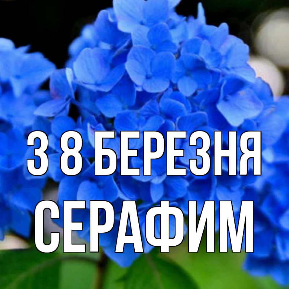 Открытка на каждый день з підписом, Серафим З 8 БЕРЕЗНЯ синие цветы Прикольна листівка з побажанням онлайн скачати безкоштовно 