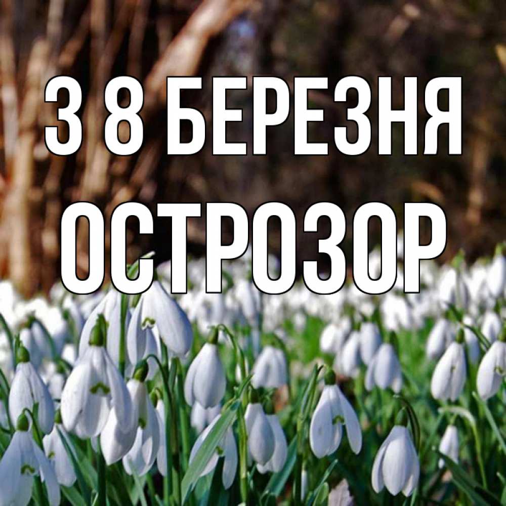 Открытка на каждый день з підписом, Острозор З 8 БЕРЕЗНЯ с подснежниками 1 Прикольна листівка з побажанням онлайн скачати безкоштовно 
