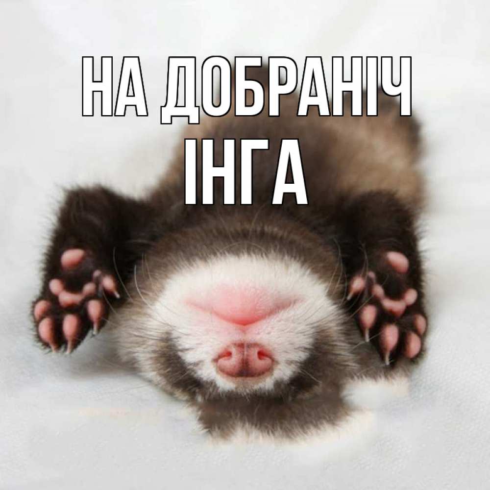 Открытка на каждый день з підписом, Інга На добраніч зверек Прикольна листівка з побажанням онлайн скачати безкоштовно 