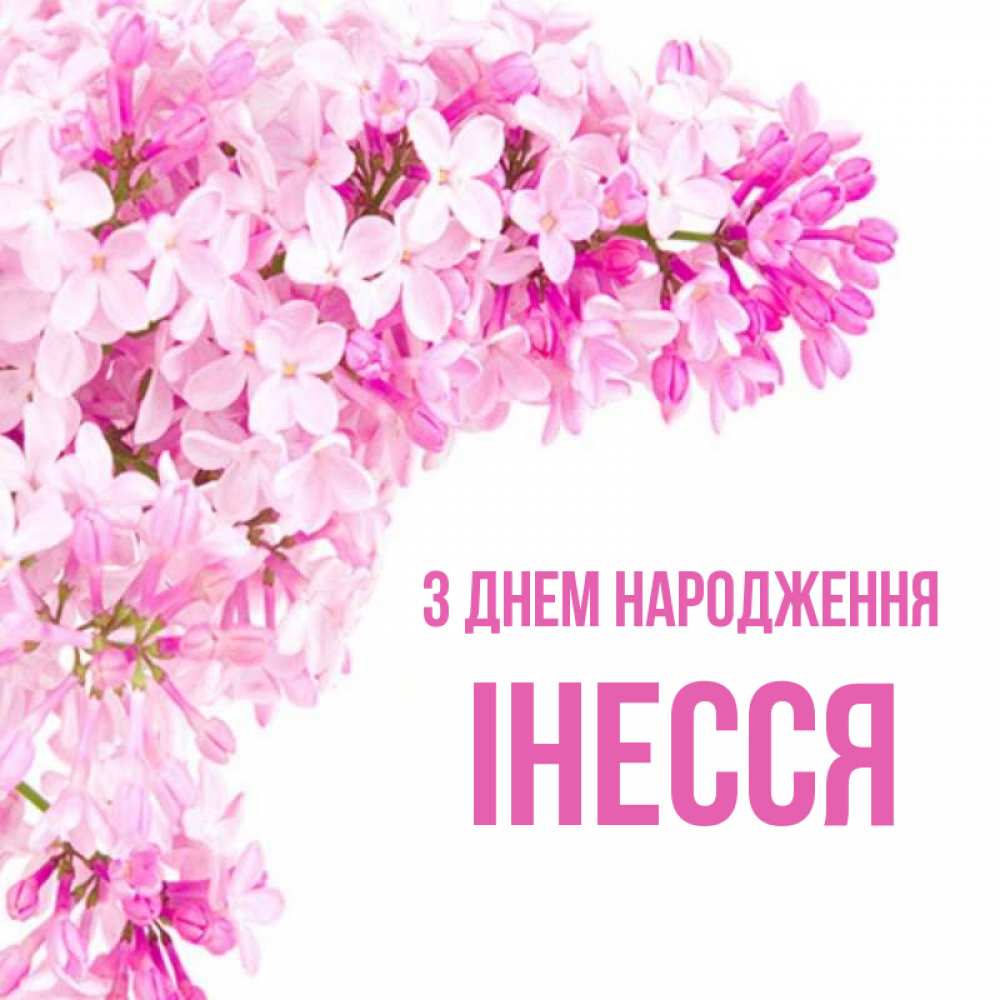 Открытка на каждый день з підписом, Інесся З Днем народження Сирень на белом фоне Прикольна листівка з побажанням онлайн скачати безкоштовно 