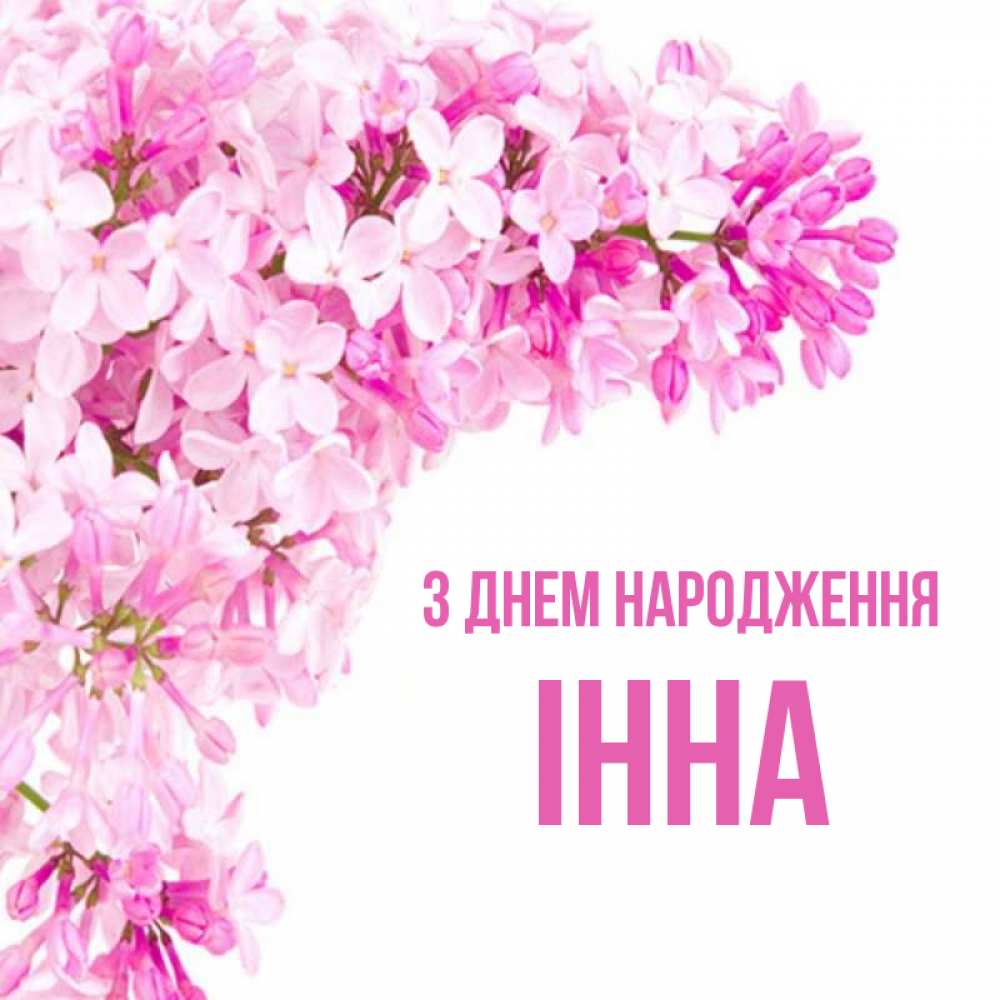 Открытка на каждый день з підписом, Інна З Днем народження Сирень на белом фоне Прикольна листівка з побажанням онлайн скачати безкоштовно 