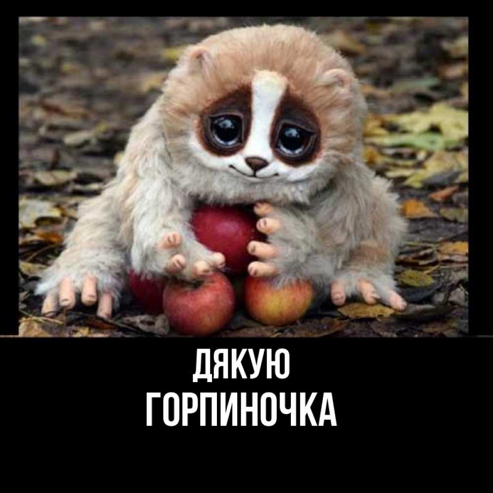 Открытка на каждый день з підписом, Горпиночка Дякую прикольное животное Прикольна листівка з побажанням онлайн скачати безкоштовно 