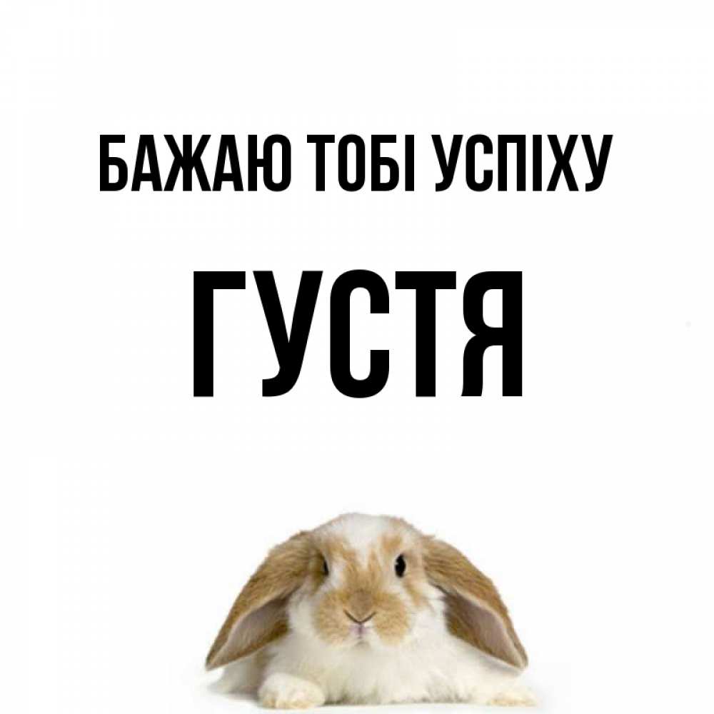Открытка на каждый день з підписом, Густя Бажаю тобі успіху открытки с произвольным текстом который можно вставить в открытку и создать ее самостоятельно бесплатно онлайн Прикольна листівка з побажанням онлайн скачати безкоштовно 