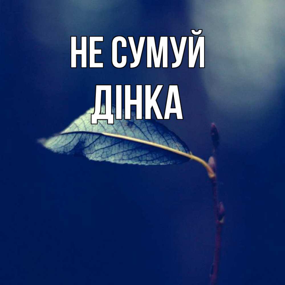 Открытка на каждый день з підписом, Дінка Не сумуй растение Прикольна листівка з побажанням онлайн скачати безкоштовно 