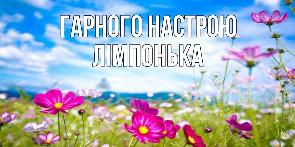 Открытка на каждый день з підписом, Лімпонька Гарного настрою поле цветов Прикольна листівка з побажанням онлайн скачати безкоштовно 