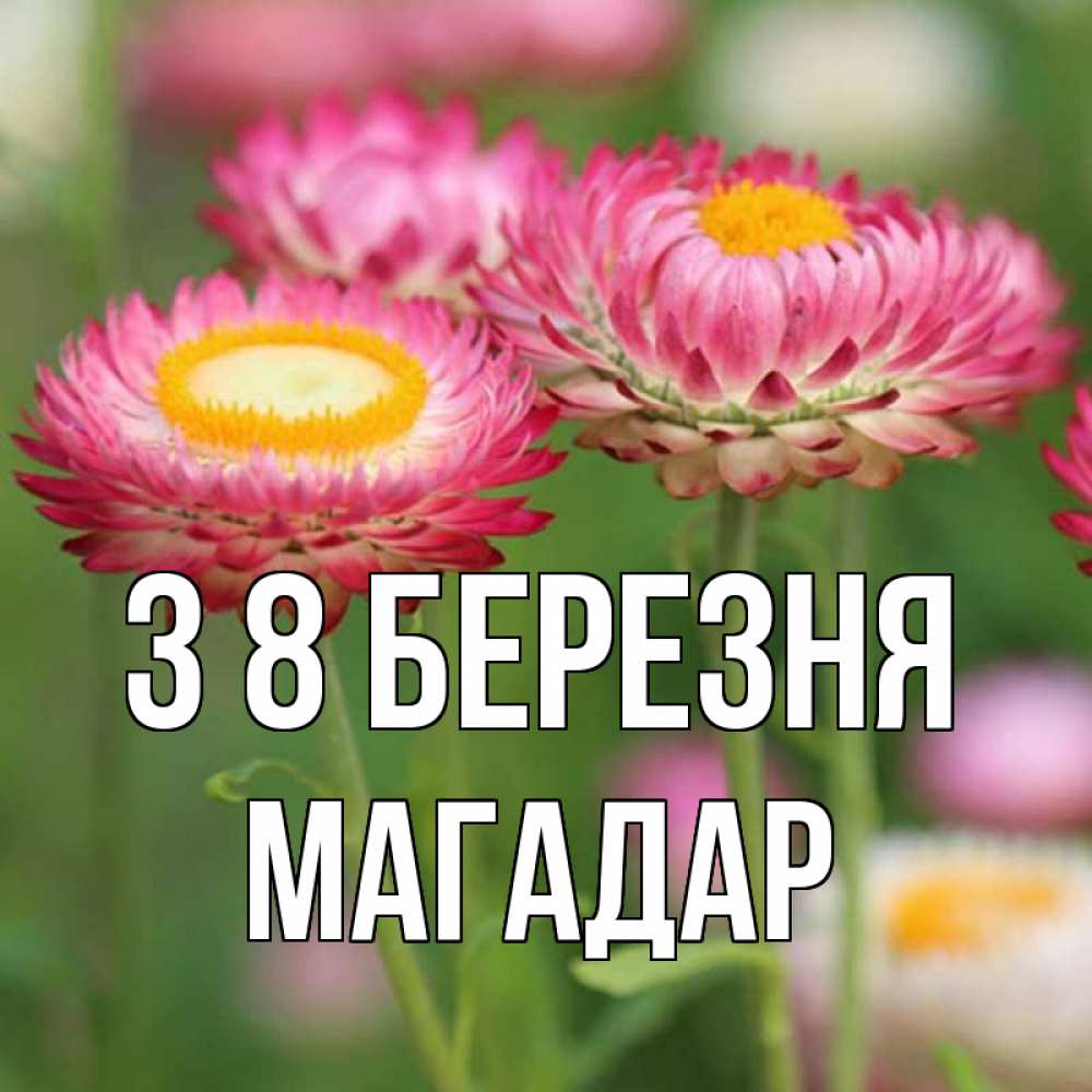 Открытка на каждый день з підписом, Магадар З 8 БЕРЕЗНЯ подарок на международный женский день Прикольна листівка з побажанням онлайн скачати безкоштовно 