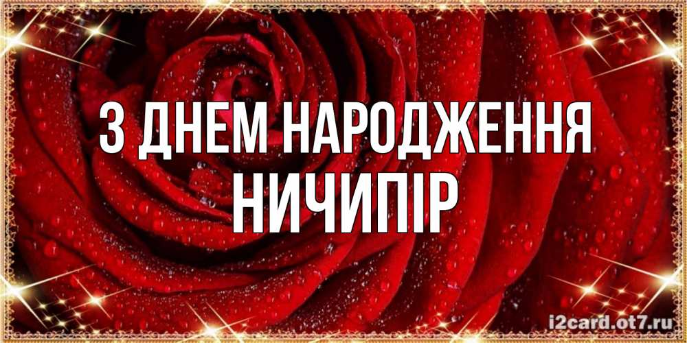 Открытка на каждый день з підписом, Ничипір З Днем народження роса на розе блестящая в лучах солнца Прикольна листівка з побажанням онлайн скачати безкоштовно 