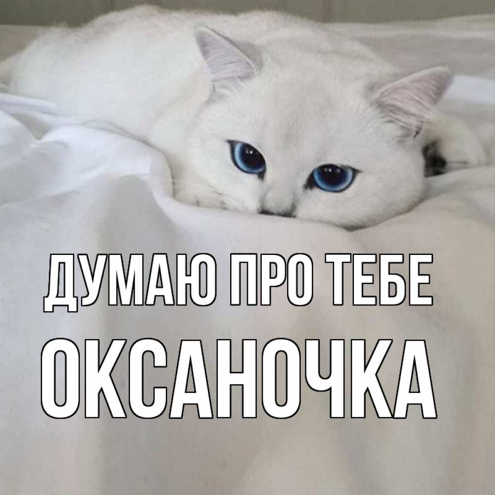 Открытка на каждый день з підписом, Оксаночка Думаю про тебе я очень по тебе скучаю и тоскую Прикольна листівка з побажанням онлайн скачати безкоштовно 