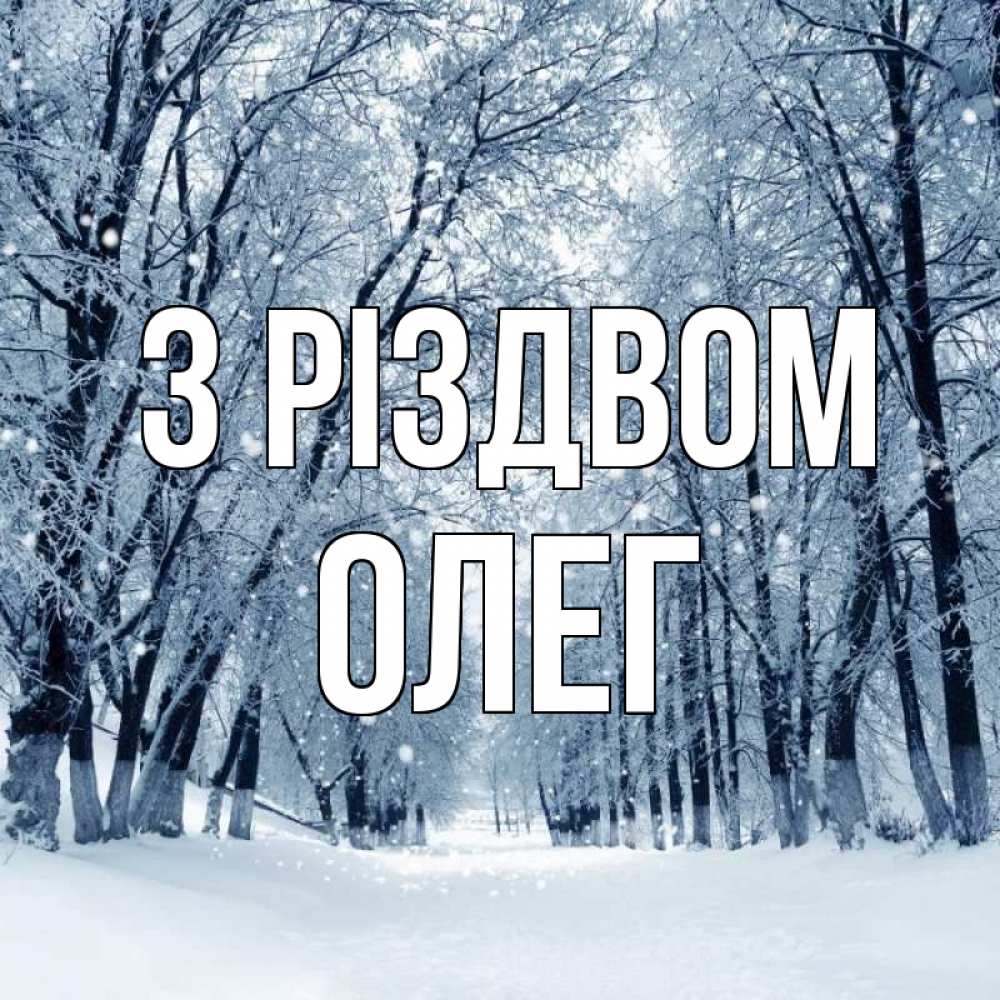 Открытка на каждый день з підписом, Олег З Різдвом снег, лес, парк Прикольна листівка з побажанням онлайн скачати безкоштовно 