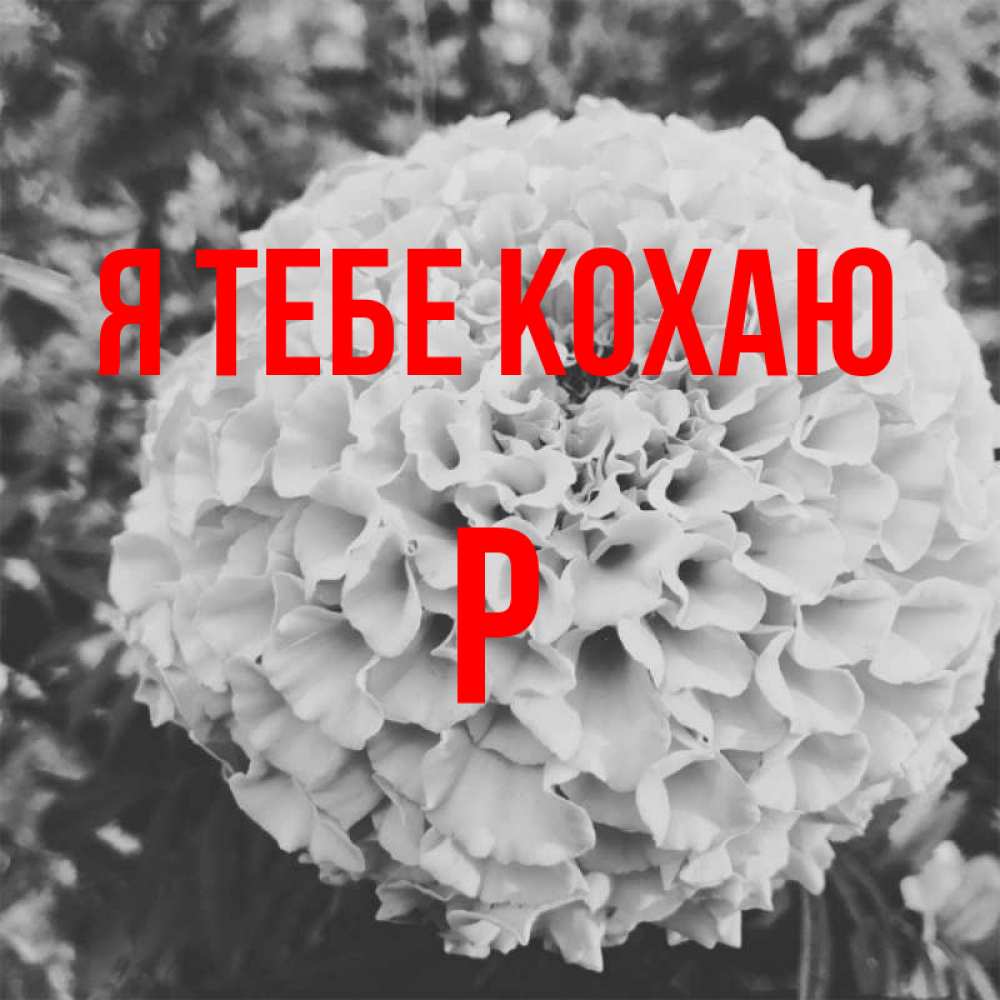 Открытка на каждый день з підписом, Р Я тебе кохаю подпись Прикольна листівка з побажанням онлайн скачати безкоштовно 