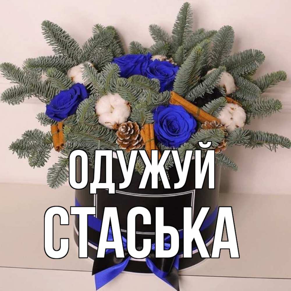 Открытка на каждый день з підписом, Стаська Одужуй короче кто то загрузил эти шишки Прикольна листівка з побажанням онлайн скачати безкоштовно 