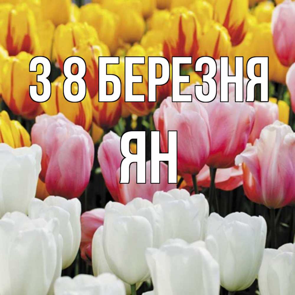 Открытка на каждый день з підписом, Ян З 8 БЕРЕЗНЯ разноцветные цветы Прикольна листівка з побажанням онлайн скачати безкоштовно 