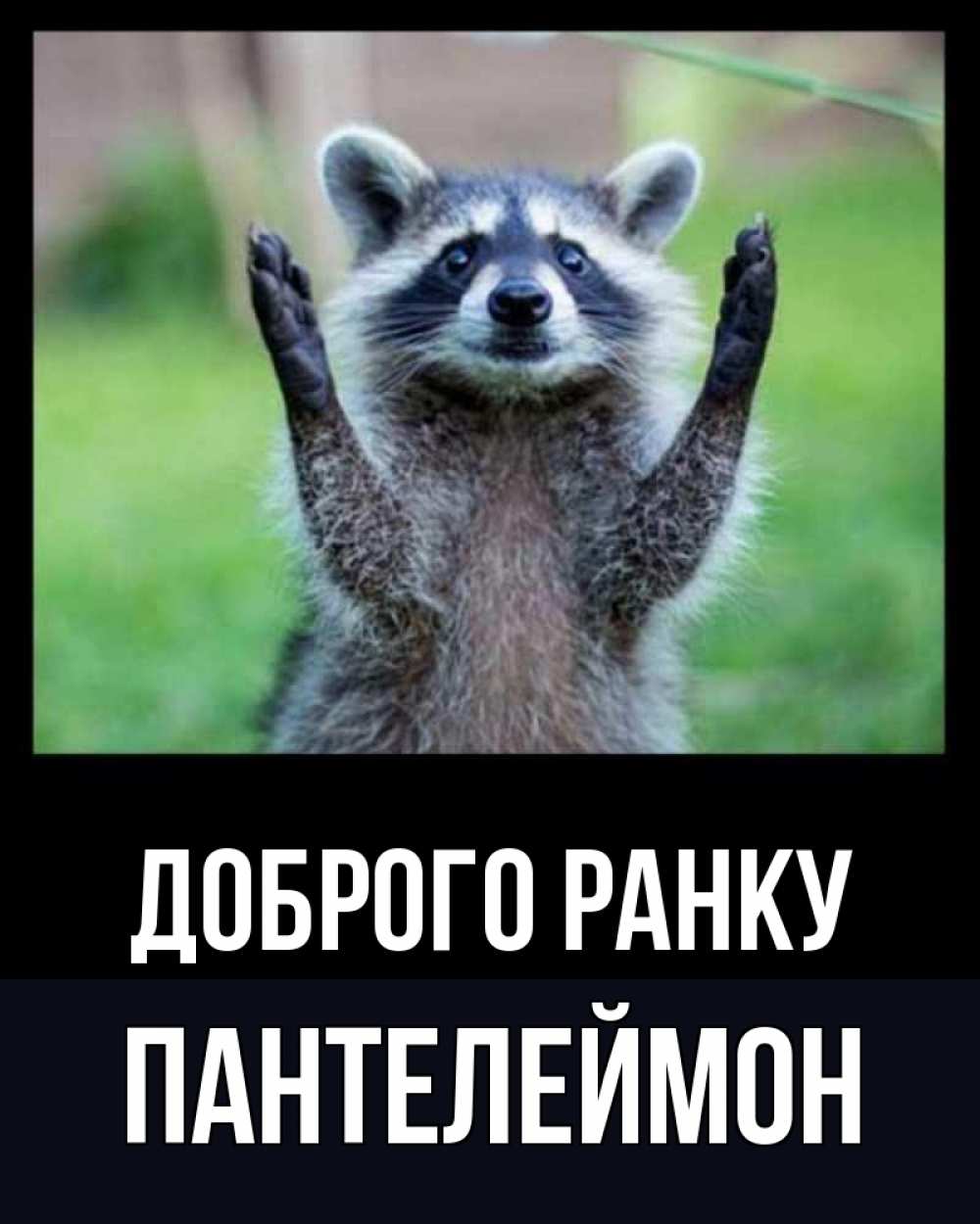 Открытка на каждый день з підписом, Пантелеймон Доброго ранку хорошее настроение утречком Прикольна листівка з побажанням онлайн скачати безкоштовно 