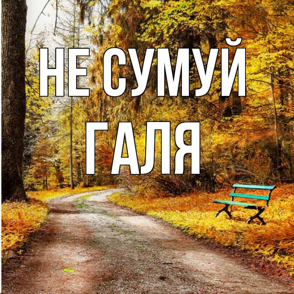 Открытка на каждый день з підписом, Галя Не сумуй зеленая лавочка Прикольна листівка з побажанням онлайн скачати безкоштовно 