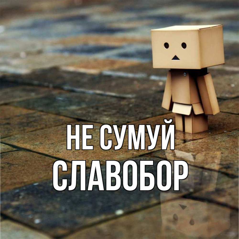 Открытка на каждый день з підписом, Славобор Не сумуй Стив Прикольна листівка з побажанням онлайн скачати безкоштовно 