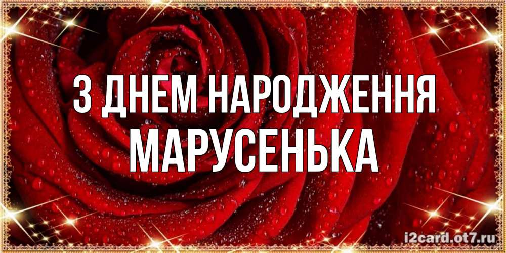 Открытка на каждый день з підписом, Марусенька З Днем народження роса на розе блестящая в лучах солнца Прикольна листівка з побажанням онлайн скачати безкоштовно 
