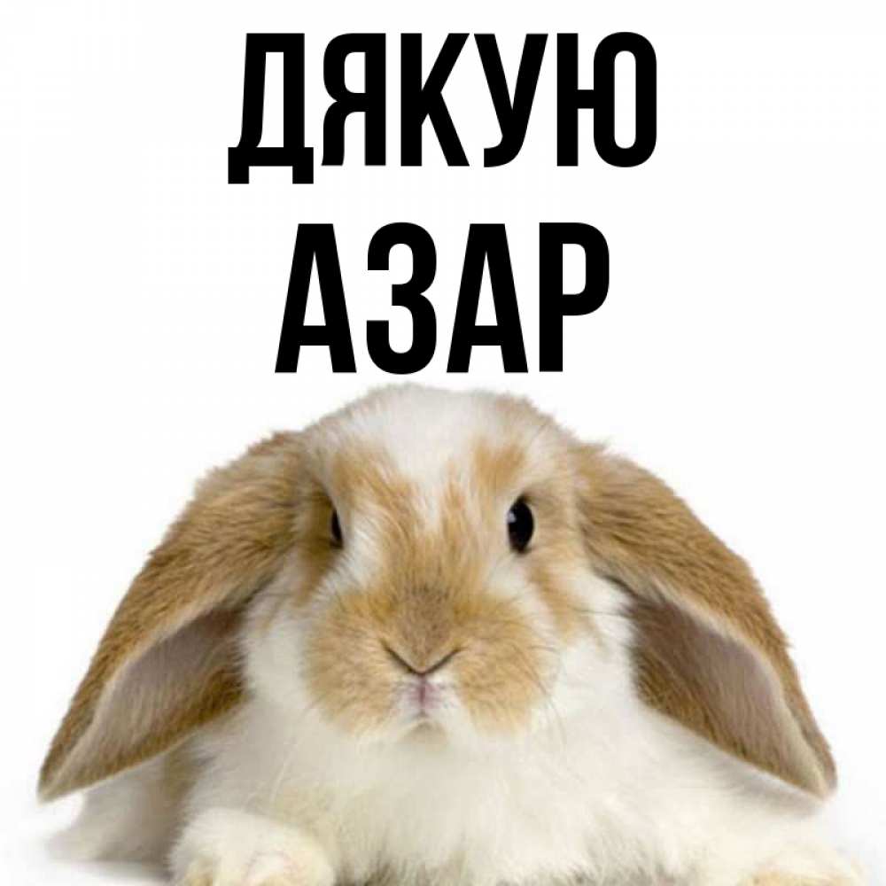 Открытка на каждый день з підписом, Азар Дякую коричнево белый заяц Прикольна листівка з побажанням онлайн скачати безкоштовно 