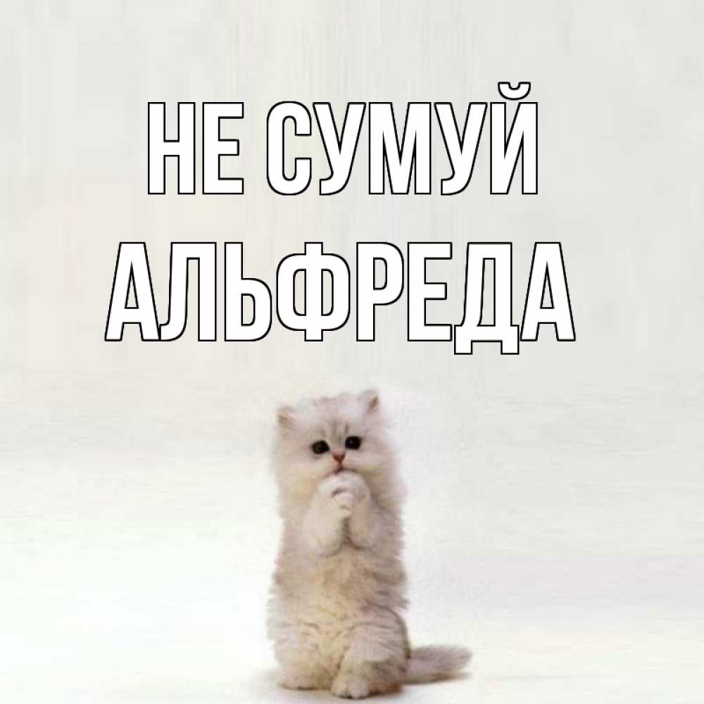 Открытка на каждый день з підписом, Альфреда Не сумуй грустный кот Прикольна листівка з побажанням онлайн скачати безкоштовно 