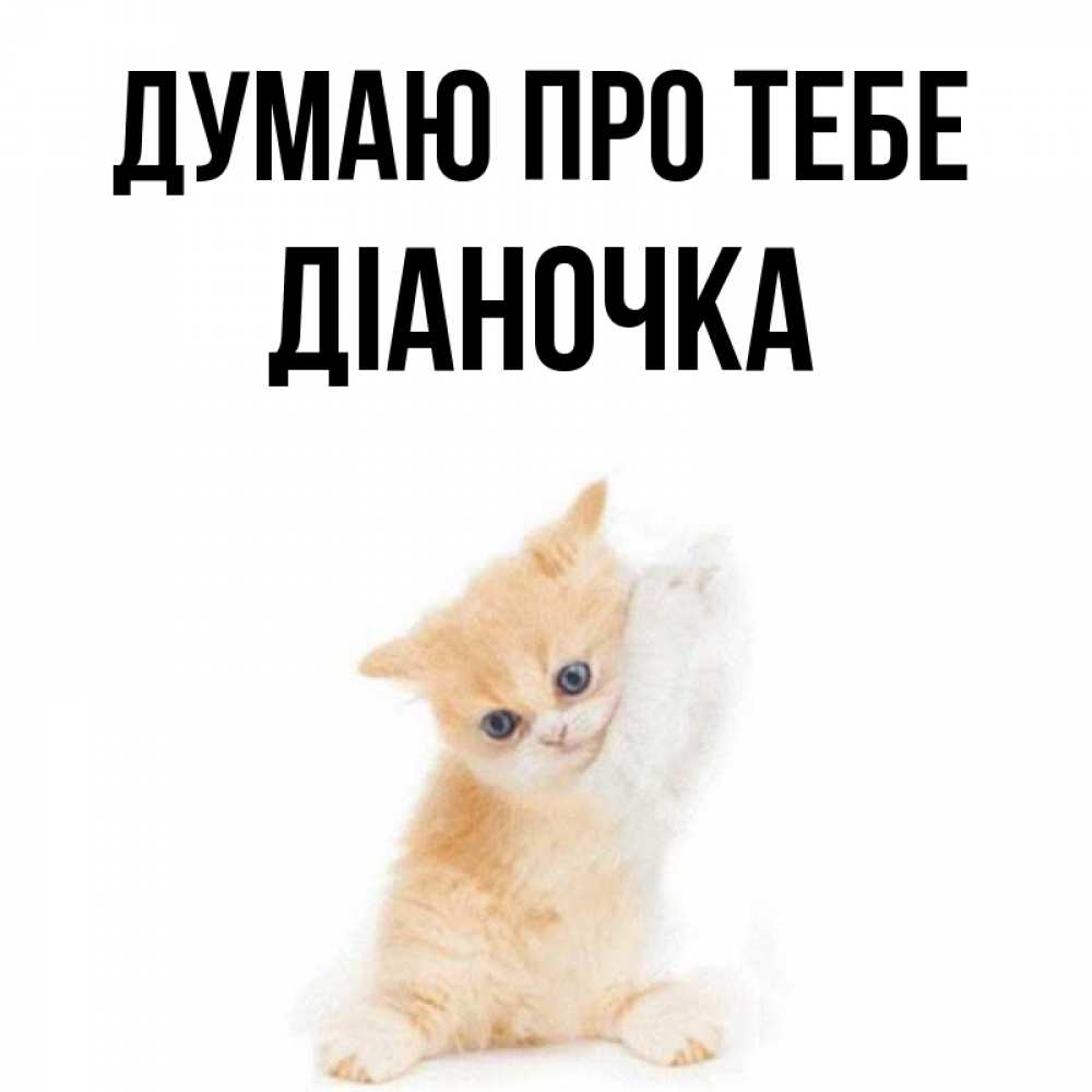 Открытка на каждый день з підписом, Діаночка Думаю про тебе зверушки и милота Прикольна листівка з побажанням онлайн скачати безкоштовно 