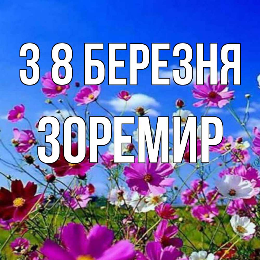 Открытка на каждый день з підписом, Зоремир З 8 БЕРЕЗНЯ цветы Прикольна листівка з побажанням онлайн скачати безкоштовно 