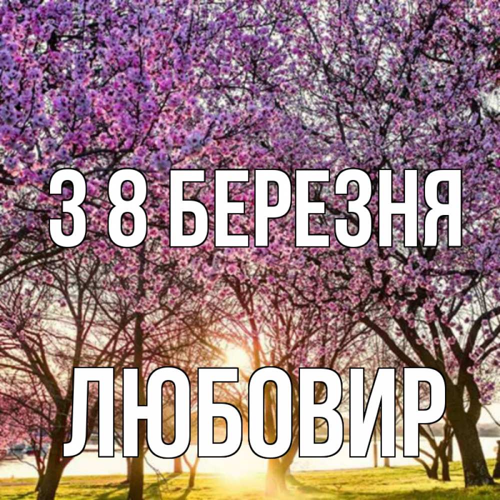 Открытка на каждый день з підписом, Любовир З 8 БЕРЕЗНЯ международный женский день Прикольна листівка з побажанням онлайн скачати безкоштовно 