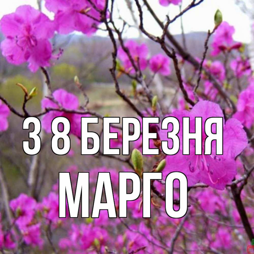 Открытка на каждый день з підписом, Марго З 8 БЕРЕЗНЯ международный женский день Прикольна листівка з побажанням онлайн скачати безкоштовно 