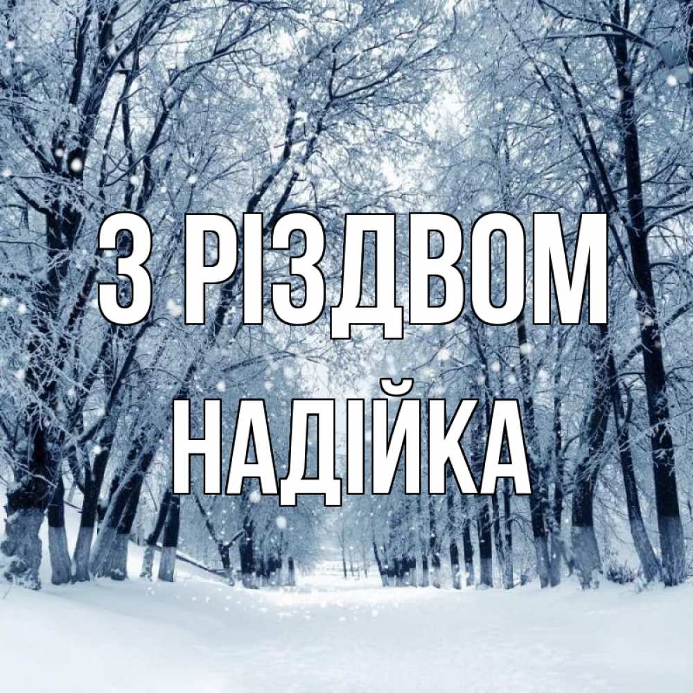 Открытка на каждый день з підписом, Надійка З Різдвом снег, лес, парк Прикольна листівка з побажанням онлайн скачати безкоштовно 