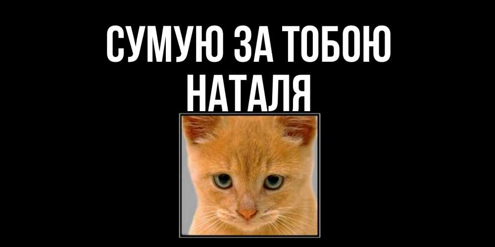 Открытка на каждый день з підписом, Наталя Сумую за тобою открытки рыжий котенок скучает по тебе Прикольна листівка з побажанням онлайн скачати безкоштовно 
