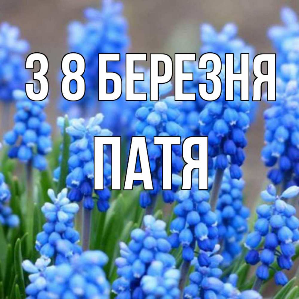 Открытка на каждый день з підписом, Патя З 8 БЕРЕЗНЯ Поздравительная открытка для женщин с цветами на праздничную дату Прикольна листівка з побажанням онлайн скачати безкоштовно 