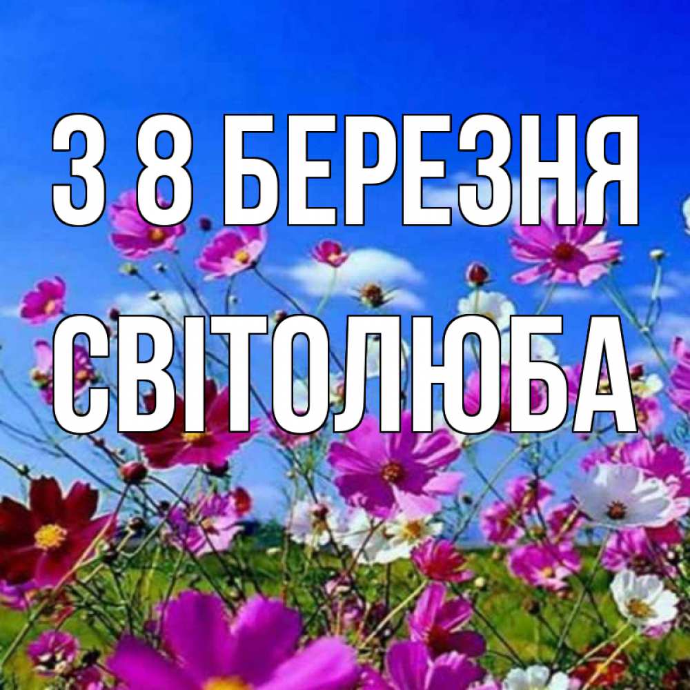 Открытка на каждый день з підписом, Світолюба З 8 БЕРЕЗНЯ цветы Прикольна листівка з побажанням онлайн скачати безкоштовно 