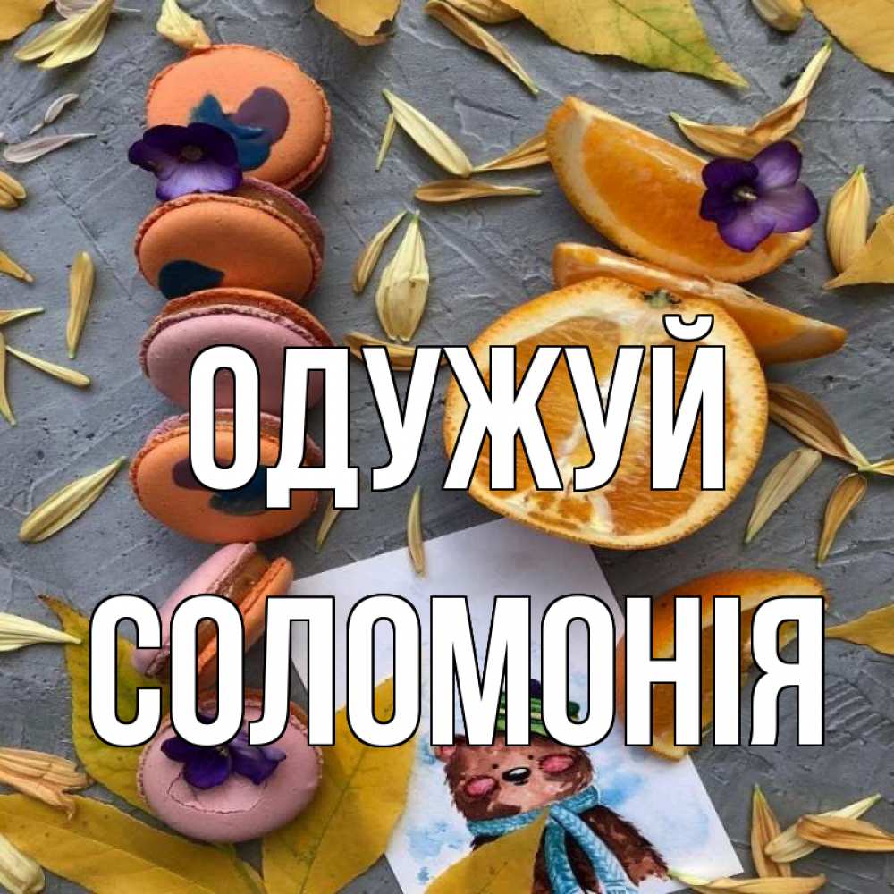 Открытка на каждый день з підписом, Соломонія Одужуй не болейте Прикольна листівка з побажанням онлайн скачати безкоштовно 