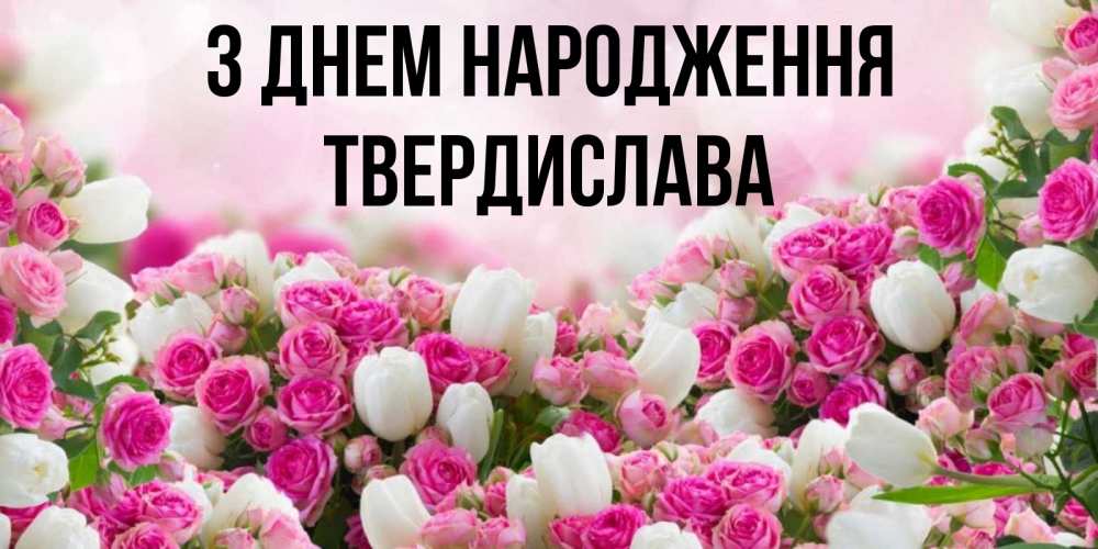 Открытка на каждый день з підписом, Твердислава З Днем народження открытка с разными розами Прикольна листівка з побажанням онлайн скачати безкоштовно 