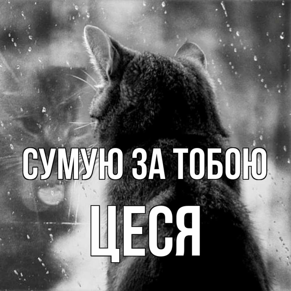 Открытка на каждый день з підписом, Цеся Сумую за тобою скорее ко мне приходи 1 Прикольна листівка з побажанням онлайн скачати безкоштовно 