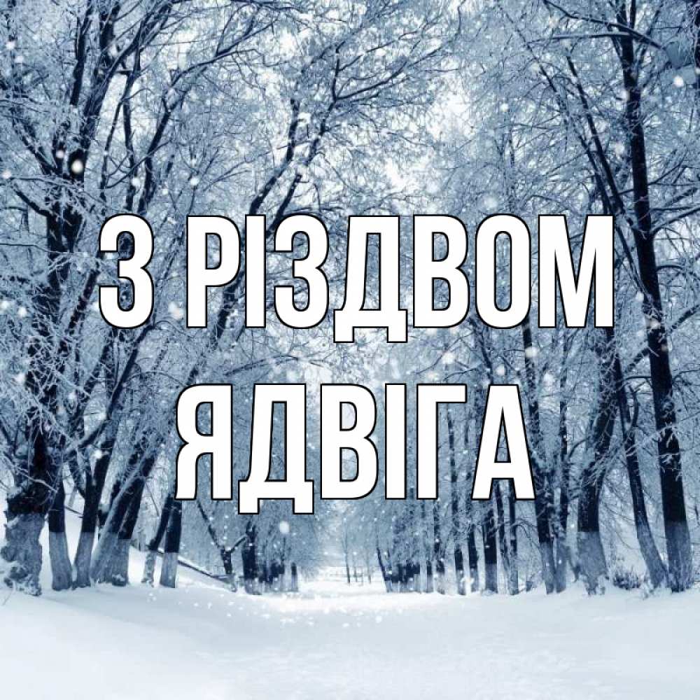 Открытка на каждый день з підписом, Ядвіга З Різдвом снег, лес, парк Прикольна листівка з побажанням онлайн скачати безкоштовно 