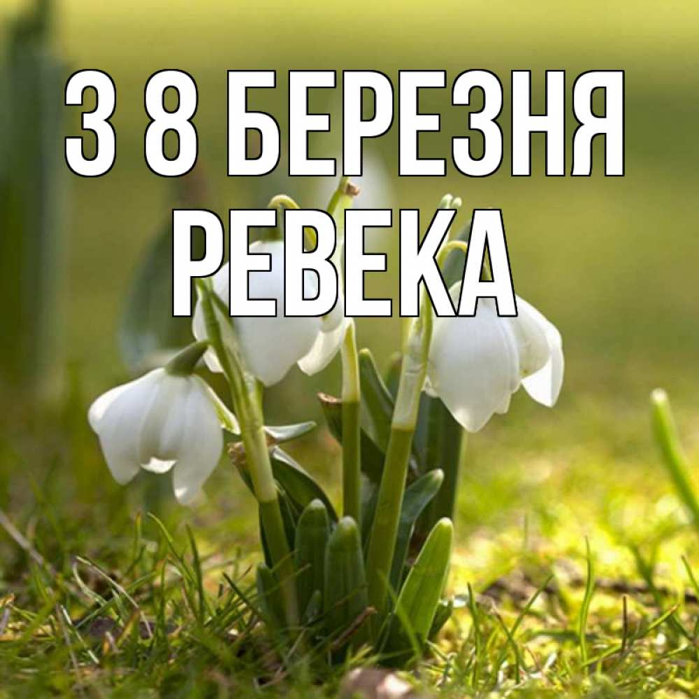Открытка на каждый день з підписом, Ревека З 8 БЕРЕЗНЯ ранние цветы 2 Прикольна листівка з побажанням онлайн скачати безкоштовно 
