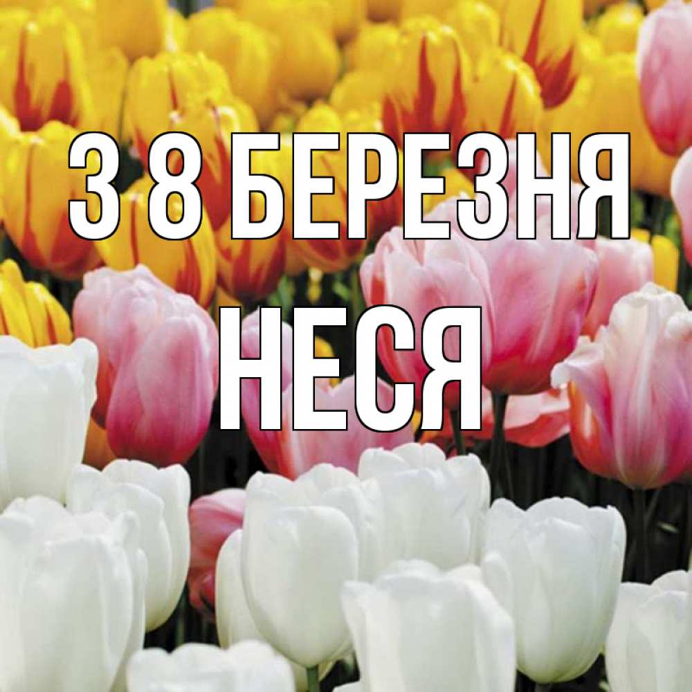 Открытка на каждый день з підписом, Неся З 8 БЕРЕЗНЯ разноцветные цветы Прикольна листівка з побажанням онлайн скачати безкоштовно 